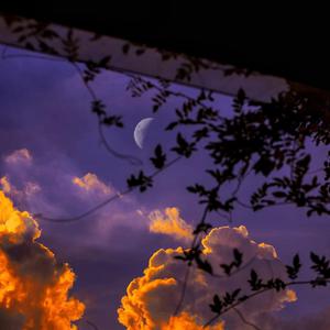 中文字幕乱偷无码AV先锋
