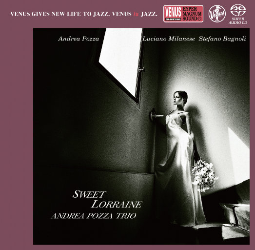 中文字幕乱偷无码AV先锋
